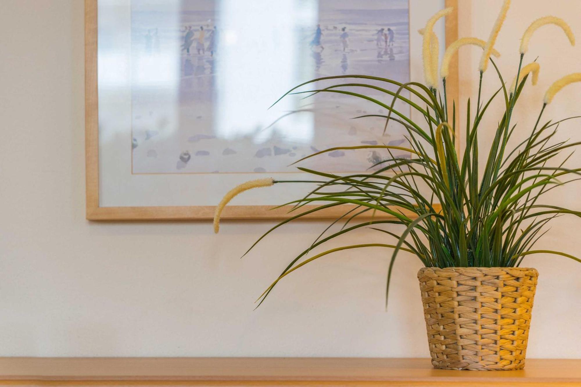 Appartementhaus Linquenda Heringsdorf  Ngoại thất bức ảnh